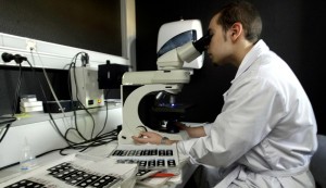 Les recherches sur les effets du thés verts